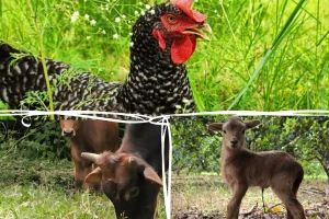 Granja Integral Alderaan - Foto del recorrido